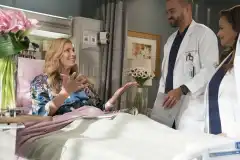 Анатомия страсти 14 сезон 16 серия